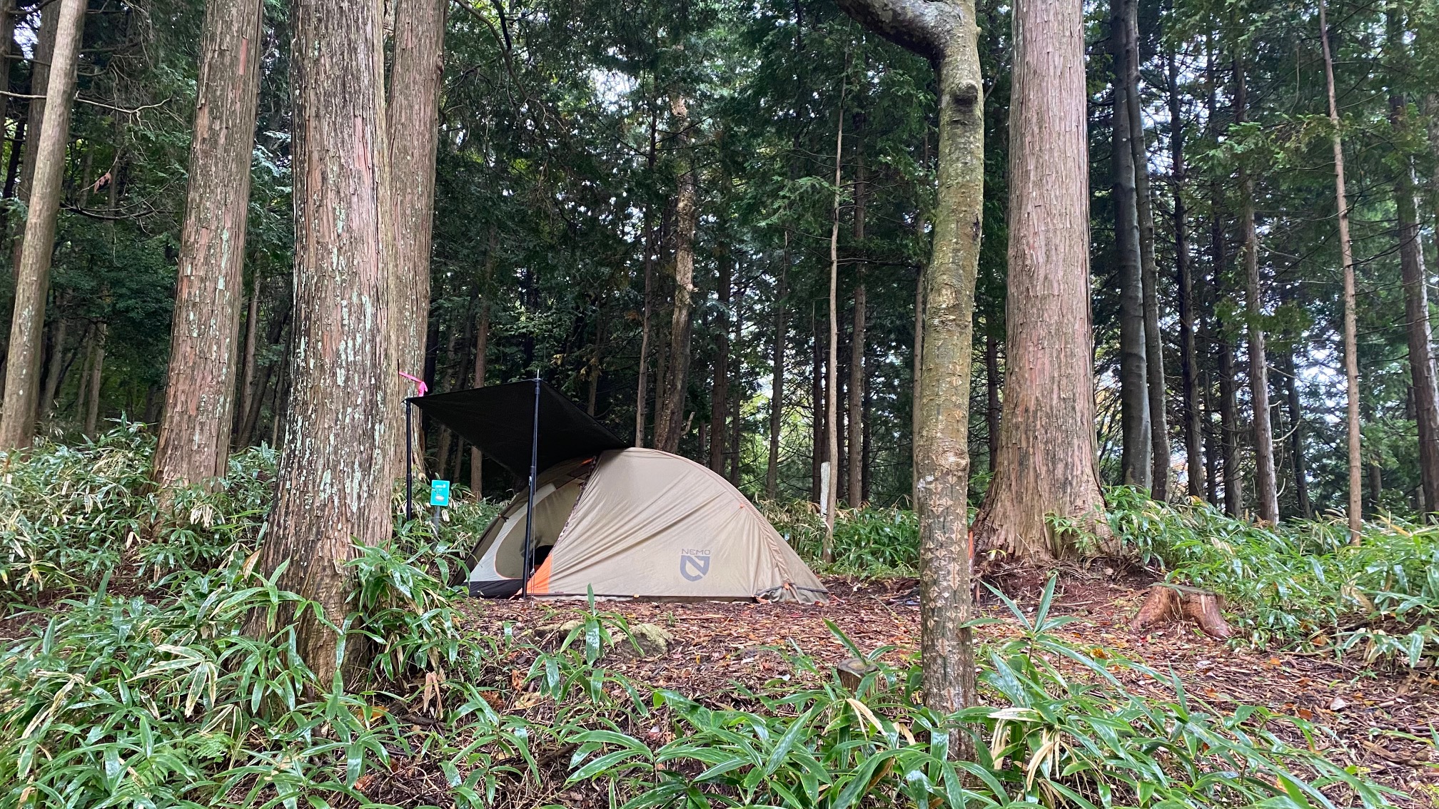 キャンプ場紹介