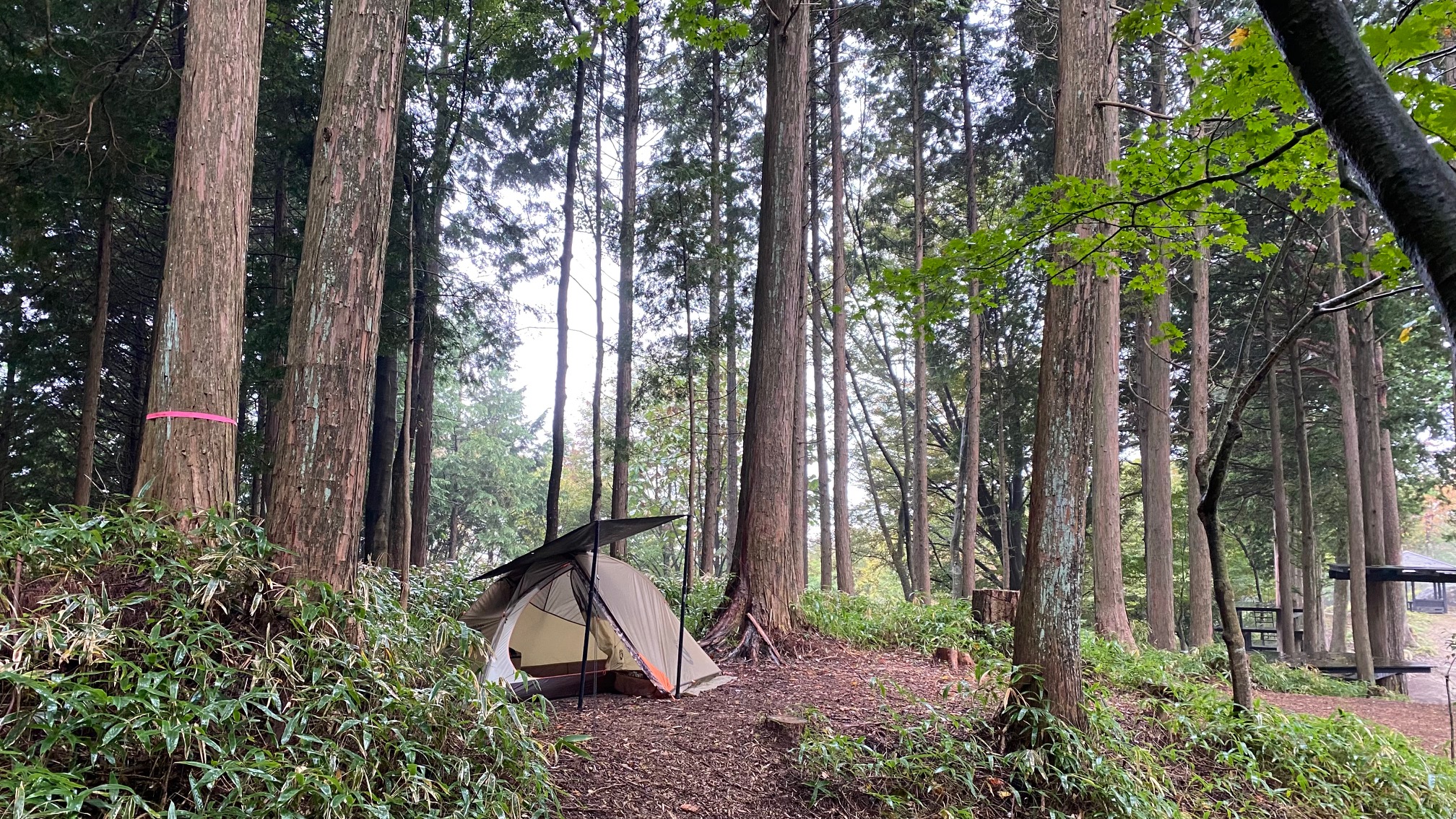 望郷の森キャンプ場